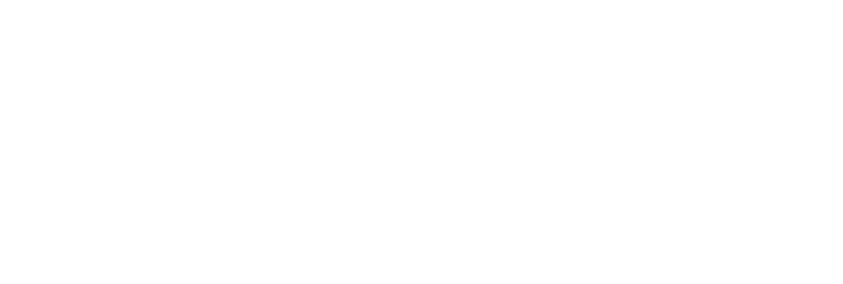 Randy's Carpet Care